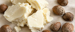 Shea Butter for Skin: Why This Rich Butter Belongs in Your Routine