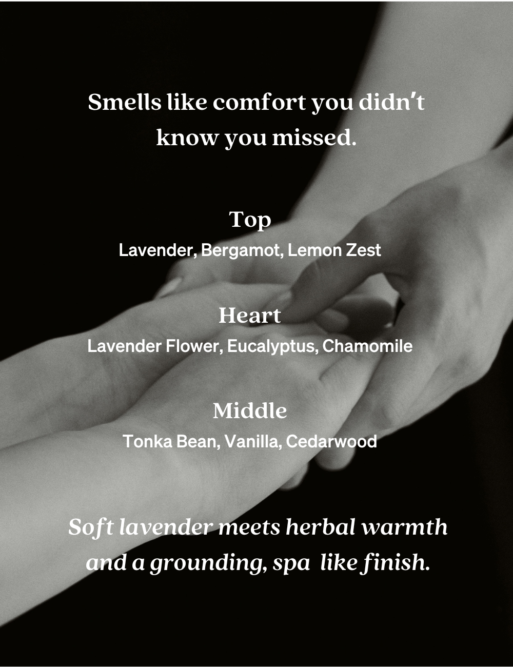 Hand Wash | Lavender